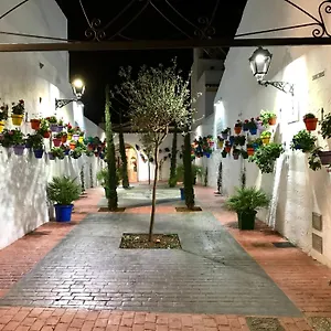 https://calle-san-miguel.es-andalucia.com